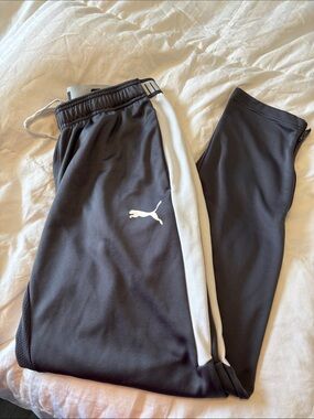 Puma Mens Gray Joggers with White Stripe